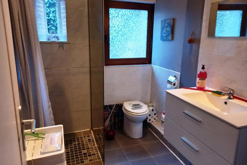 Suite Dans Le Jardin Du Chateau Agonges Exterior photo